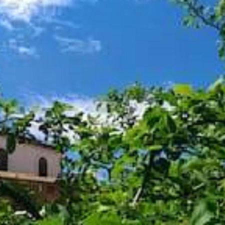 Il Gelsomino Home Holiday Alcamo Buitenkant foto