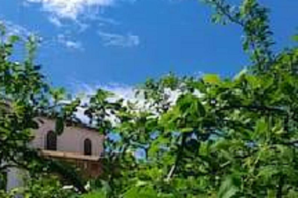 Il Gelsomino Home Holiday Alcamo Buitenkant foto